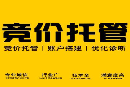 SEM服务案例：助力企业拓展海外市场